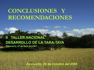 CONCLUSIONES  Y RECOMENDACIONES II   TALLER NACIONAL DESARROLLO DE LA TARA-TAYA Cajamarca, 27 de Abril del 2007 Ayacucho, 29 de Octubre del 2008   