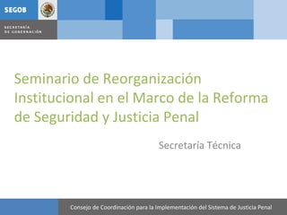 Seminario de Reorganización
Institucional en el Marco de la Reforma
de Seguridad y Justicia Penal
                                         Secretaría Técnica




        Consejo de Coordinación para la Implementación del Sistema de Justicia Penal
 