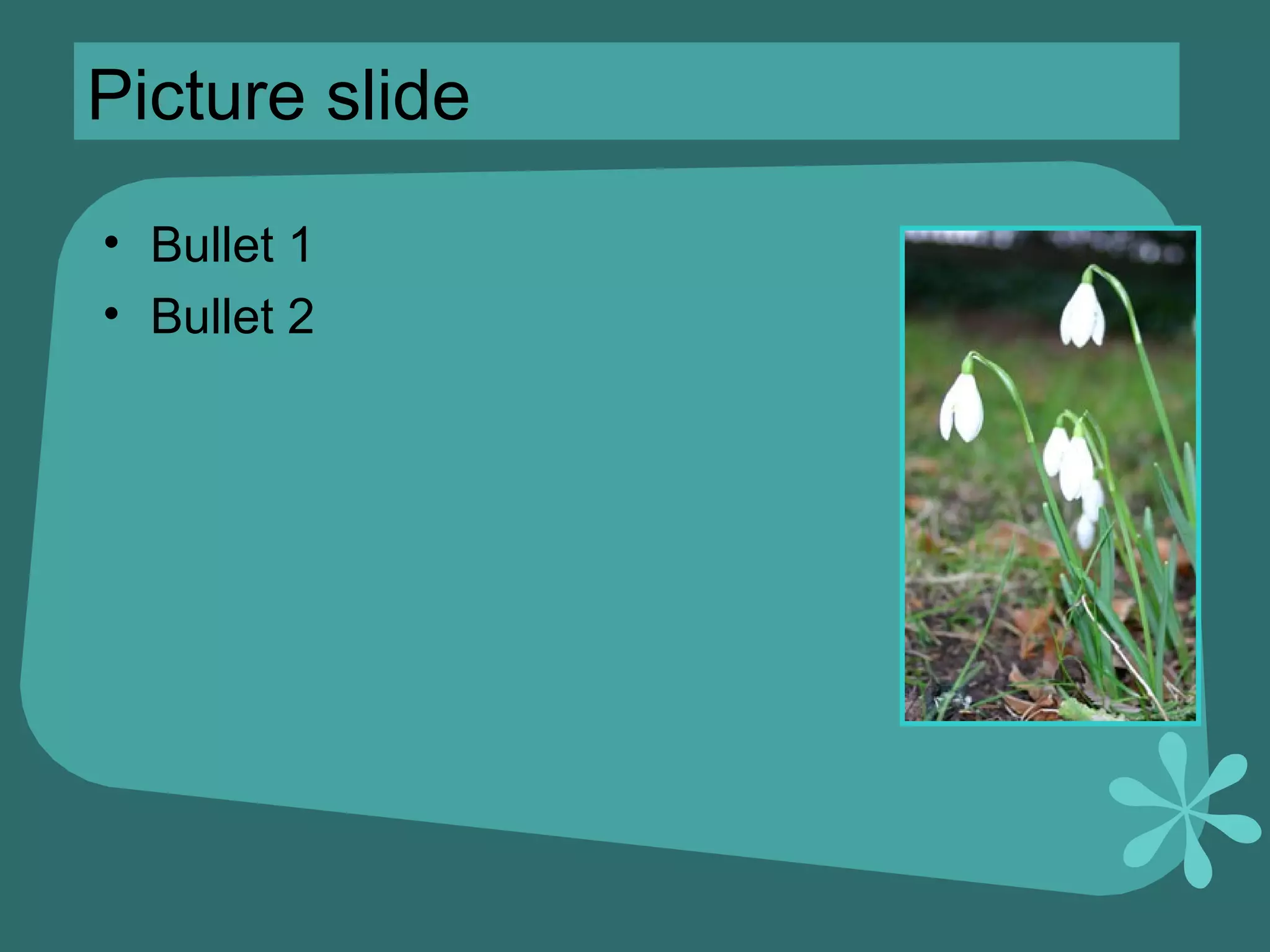 Picture slide Bullet 1 Bullet 2 