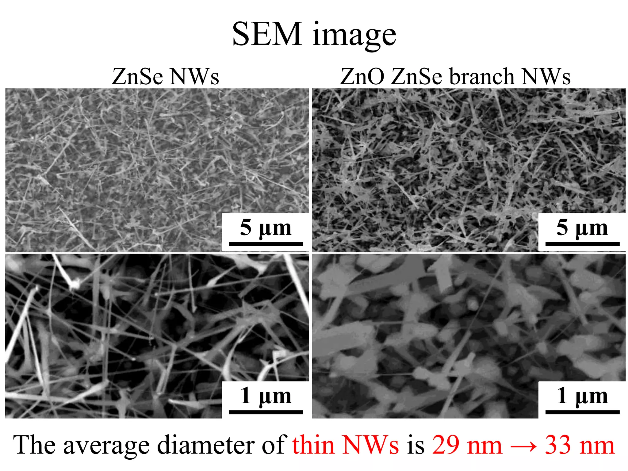 SEM image
ZnSe NWs ZnO ZnSe branch NWs
The average diameter of thin NWs is 29 nm → 33 nm
5 μm 5 μm
1 μm 1 μm
 
