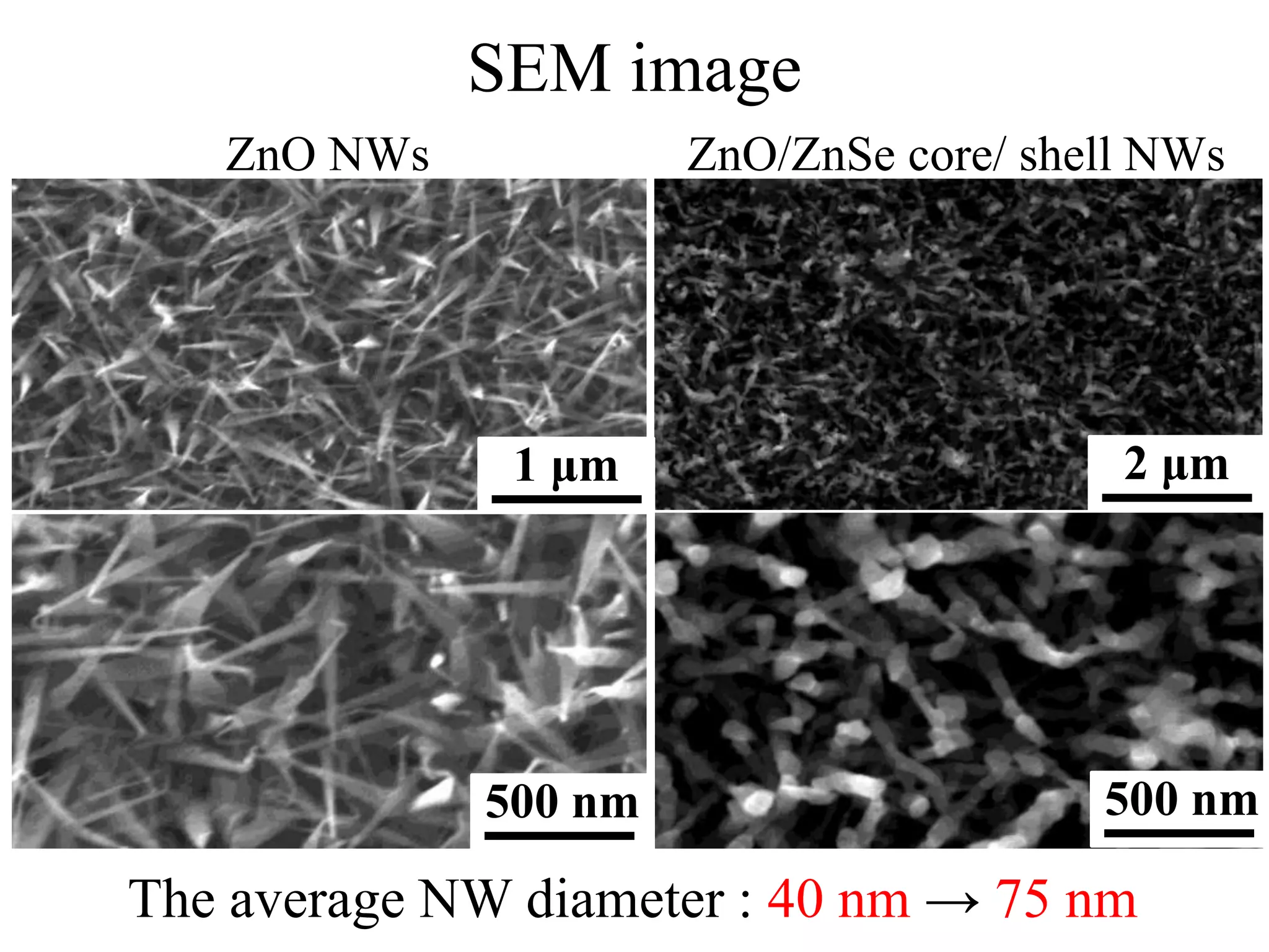 SEM image
ZnO NWs ZnO/ZnSe core/ shell NWs
The average NW diameter : 40 nm → 75 nm
500 nm 500 nm
1 μm 2 μm
 