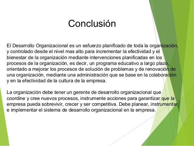 Conclusion proceso organizacional
