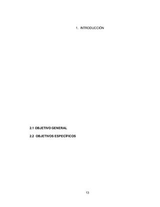 13
1. INTRODUCCIÓN
2.1 OBJETIVO GENERAL
2.2 OBJETIVOS ESPECÍFICOS
 