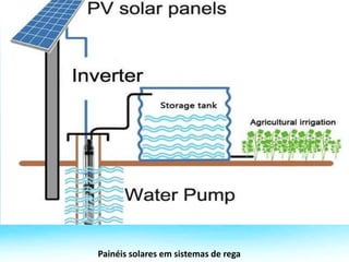 Painéis solares em sistemas de rega
 