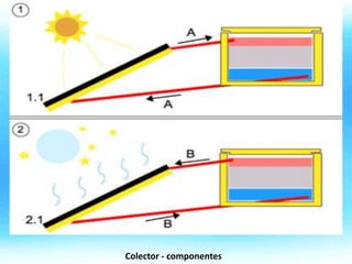 Colector - componentes
 