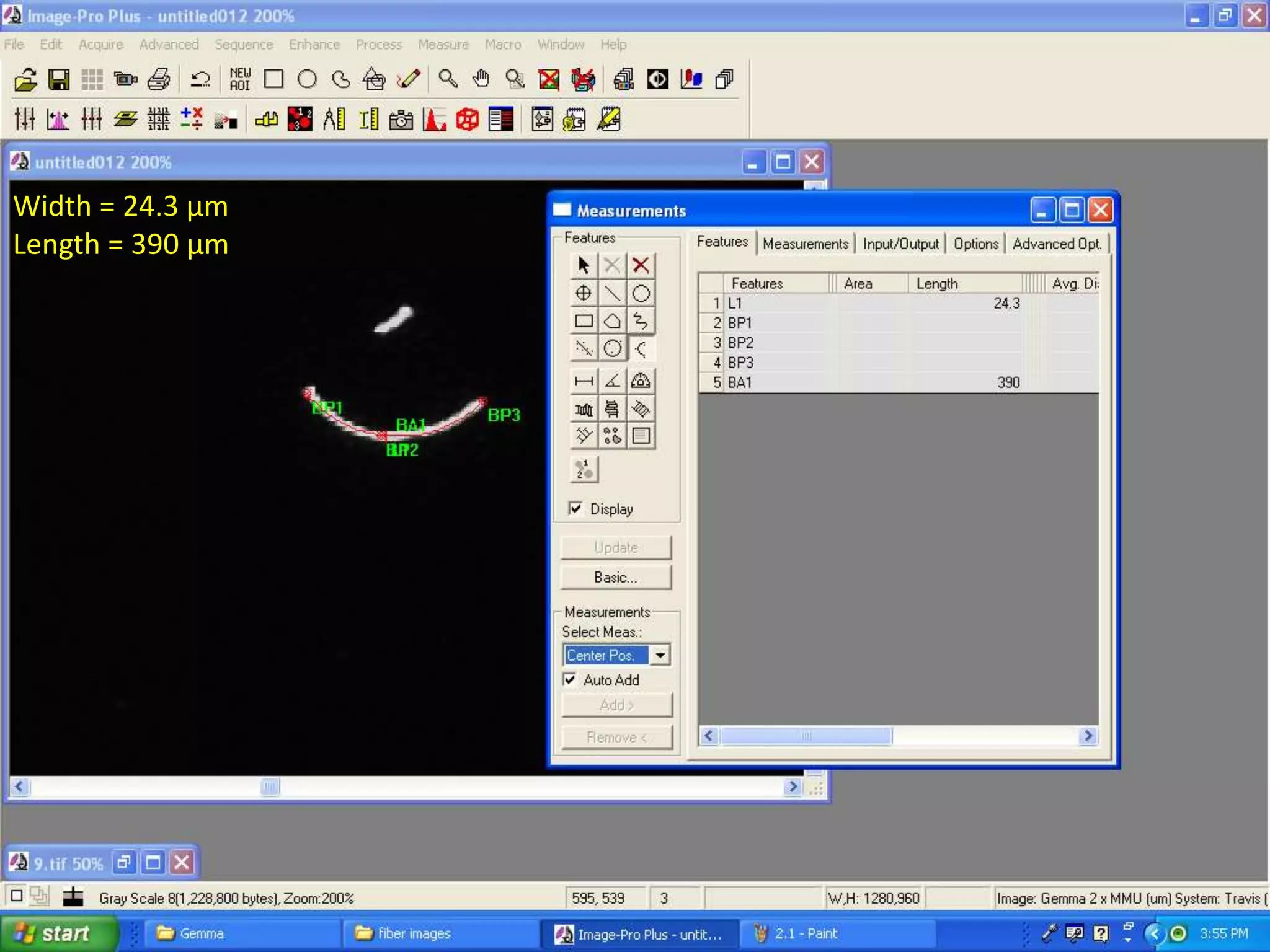 Width = 24.3 µm
Length = 390 µm
 