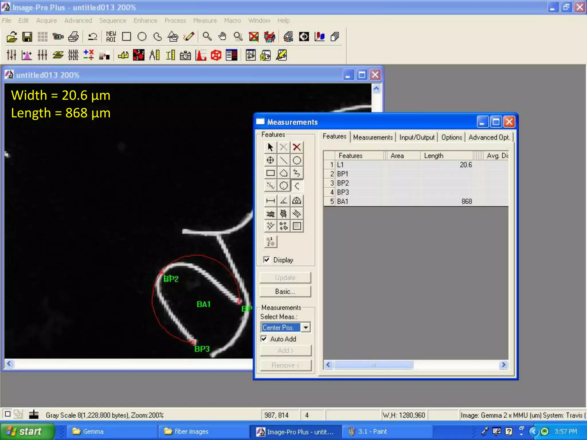 Width = 20.6 µm
Length = 868 µm
 