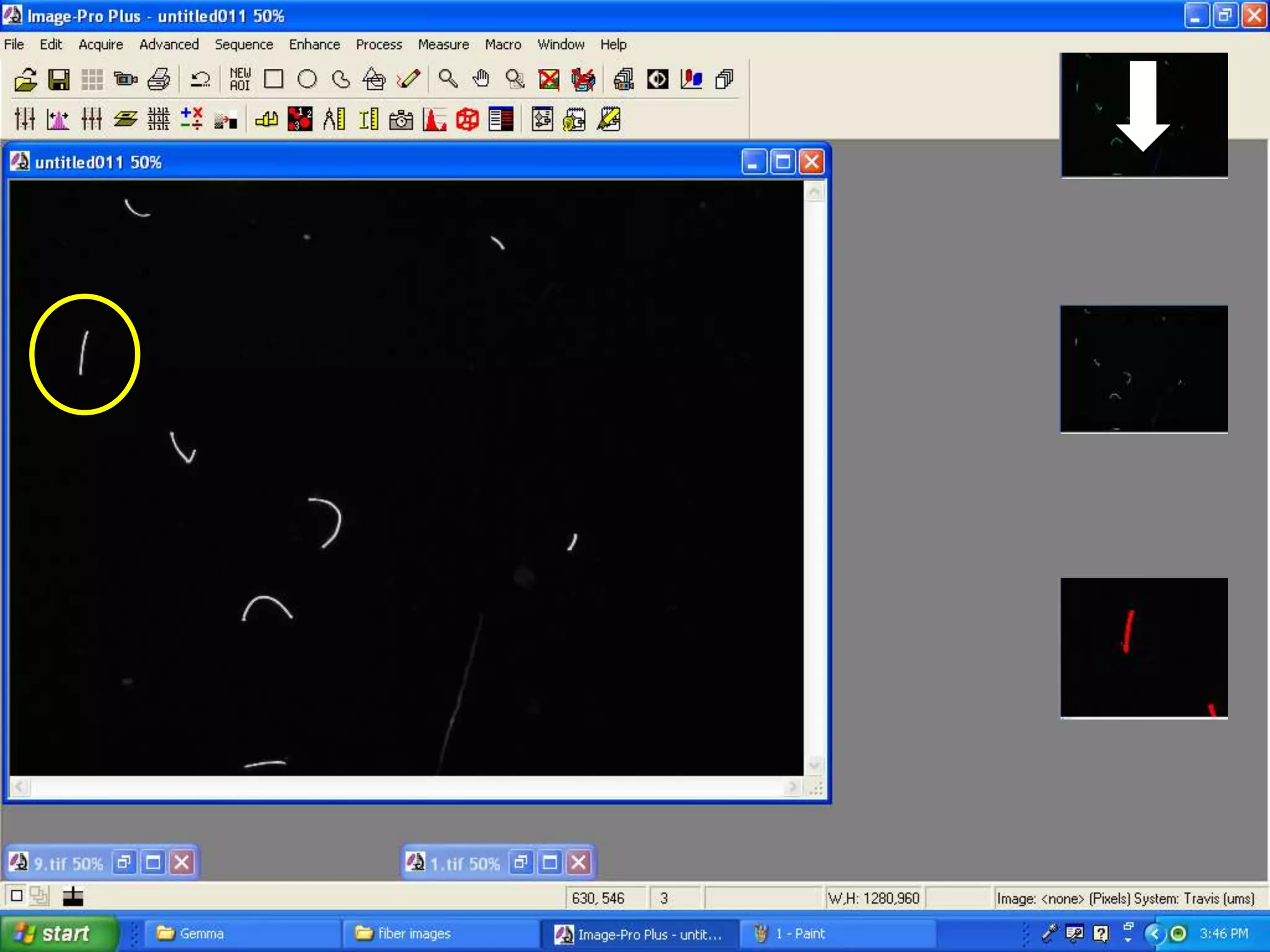 Automated image analysis by
Binary Segmentation and
Histogram Selection
 