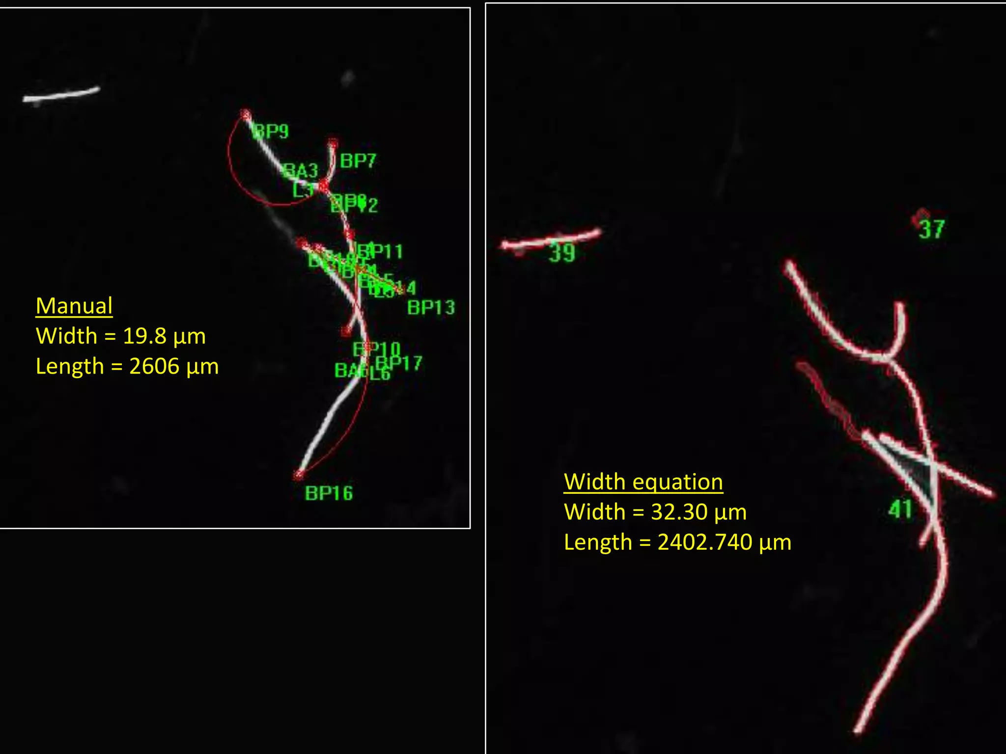 Manual
Width = 19.8 µm
Length = 2606 µm
Width equation
Width = 32.30 µm
Length = 2402.740 µm
 