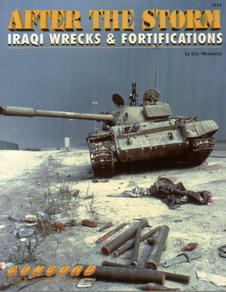 Concord   after the storm - iraqi wrecks and fortifications