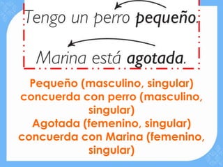 Pequeño (masculino, singular)
concuerda con perro (masculino,
           singular)
  Agotada (femenino, singular)
concuerda con Marina (femenino,
           singular)
 