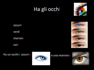 Ha gli occh i azzurr i verd i marron i ner i Ha un occhi o azzurr o e uno marron e