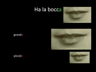 Ha la bocc a grand e piccol a
