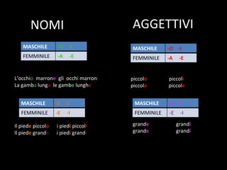 NOMI AGGETTIVI L’occhi o marron e gli occh i marron i La gamb a lung a le gamb e lungh e piccol o piccol i piccol a piccol e Il pied e piccol o i pied i piccol i Il pied e grand e i pied i grand i grand e grand i grand e grand i MASCHILE -O -I FEMMINILE -A -E MASCHILE -O -I FEMMINILE -A -E MASCHILE -E -I FEMMINILE -E -I MASCHILE -E -I FEMMINILE -E -I