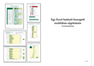 Egy Excel határait feszegető
esztétikus cégelemzés
Esettanulmány

www.hatekonysag.hu

1 / 19

 