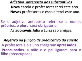Adjetivo anteposto aos substantivos
     Nova escola e professores terei este ano.
     Novos professores e escola terei este ano.

Se o adjetivo anteposto referir-se a nomes
próprios, o plural será obrigatório.
     As adoráveis Júlia e Luiza são amigas.

   Adjetivo na função de predicativo do sujeito
 A professora e o aluno chegaram apressados.
 Preocupados, a mãe e o pai ligaram para o
filho.(preocupada)
 
