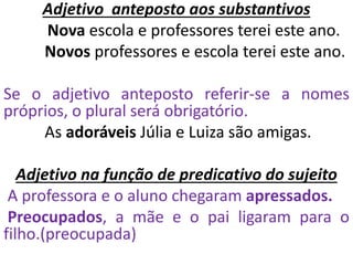 Adjetivo anteposto aos substantivos
Nova escola e professores terei este ano.
Novos professores e escola terei este ano.
Se o adjetivo anteposto referir-se a nomes
próprios, o plural será obrigatório.
As adoráveis Júlia e Luiza são amigas.
Adjetivo na função de predicativo do sujeito
A professora e o aluno chegaram apressados.
Preocupados, a mãe e o pai ligaram para o
filho.(preocupada)
 