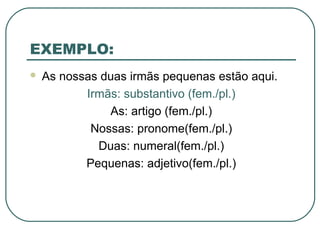 EXEMPLO:
 As nossas duas irmãs pequenas estão aqui.
Irmãs: substantivo (fem./pl.)
As: artigo (fem./pl.)
Nossas: pronome(fem./pl.)
Duas: numeral(fem./pl.)
Pequenas: adjetivo(fem./pl.)
 