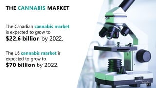 The Canadian cannabis market
is expected to grow to
$22.6 billion by 2022.
THE CANNABIS MARKET
The US cannabis market is
expected to grow to
$70 billion by 2022.
 