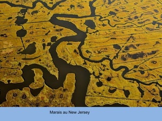 Marais au New Jersey
 