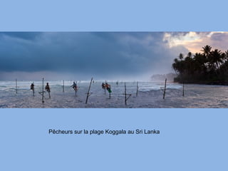 Pêcheurs sur la plage Koggala au Sri Lanka
 