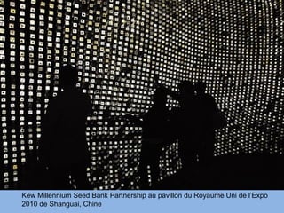 Kew Millennium Seed Bank Partnership au pavillon du Royaume Uni de l’Expo
2010 de Shanguai, Chine
 