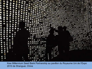 Kew Millennium Seed Bank Partnership au pavillon du Royaume Uni de l’Expo 2010 de Shanguai, Chine 