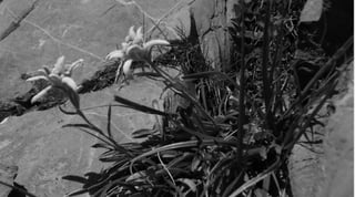 Concours Calendrier 2011 resPYRations