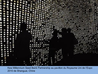 Kew Millennium Seed Bank Partnership au pavillon du Royaume Uni de l’Expo
2010 de Shanguai, Chine
 