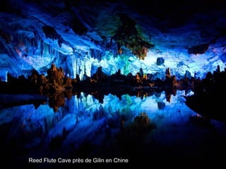Reed Flute Cave près de Gilin en Chine
 