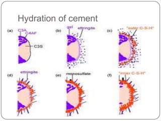 Hydration of cement

 