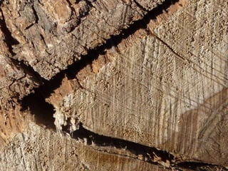 ‏‏ Concrete abstract in jerusalem