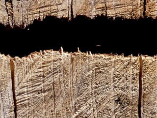 ‏‏ Concrete abstract in jerusalem