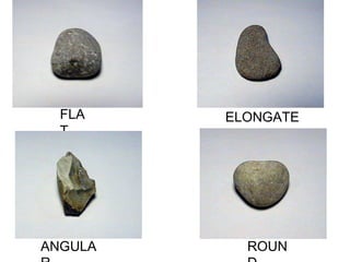 FLA
T
ELONGATE
D
ROUNANGULA
 