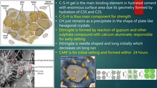 • C-S-H gel is the main binding element in hydrated cement
with enormous surface area due its geometry formed by
hydration of C3S and C2S
• C-S-H is thus main component for strength
• CH just remains as a precipitate in the shape of plate like
hexagonal crystals
• Ettringite is formed by reaction of gypsum and other
sulphate compound with calcium aluminate, responsible
for early setting
• Ettringite is needle shaped and long initially which
decreases on long run
• C4AF is for initial setting and formed within 24 hours
 