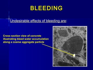 Undesirable effects of bleeding areUndesirable effects of bleeding are::
BLEEDINGBLEEDING
Cross section view of concrete
illustrating bleed water accumulation
along a coarse aggregate particle.
 