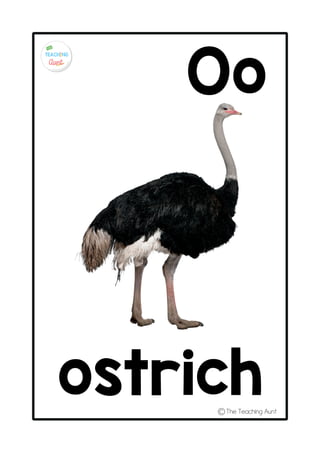 Concrete Objects Alphabet A4 .pdf