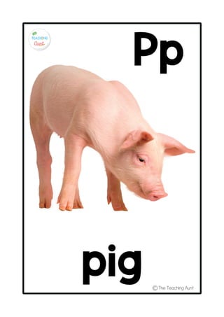 Concrete Objects Alphabet A4 .pdf