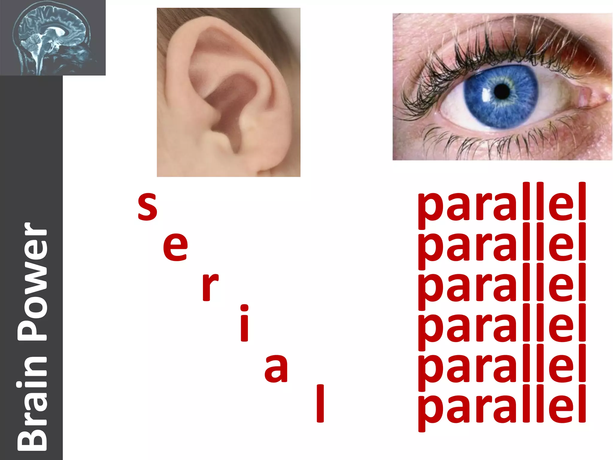 Text                Visual
              s                       parallel
                  e                   parallel
Brain Power




                      r               parallel
                          i           parallel
                              a       parallel
                                  l   parallel
 