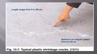 Length ranges from 5 to 100 cm
Spaced in an irregular pattern
from 5 to 60 cm
 