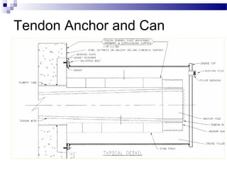 Tendon Anchor and Can
 