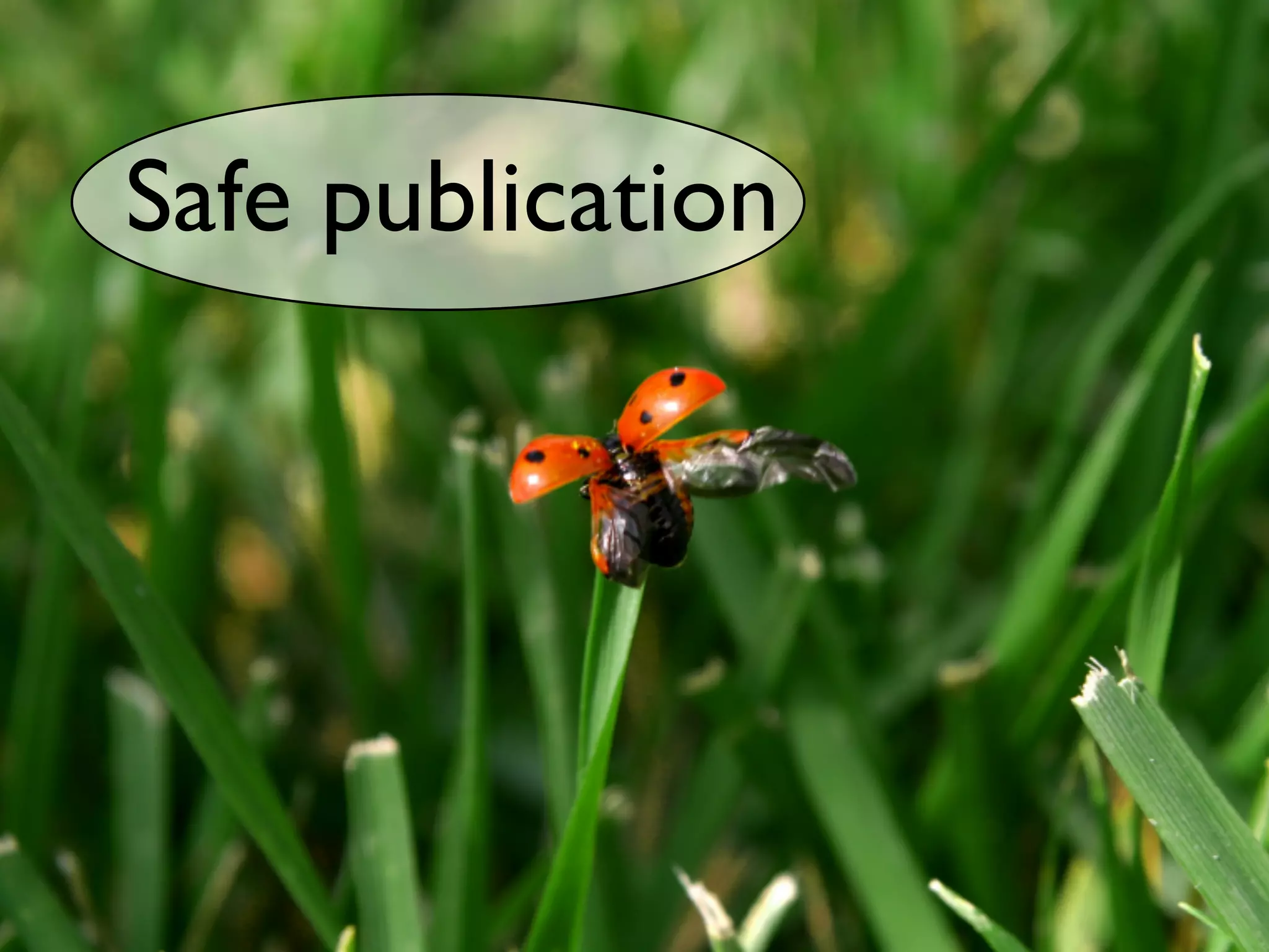 Safe publication
 