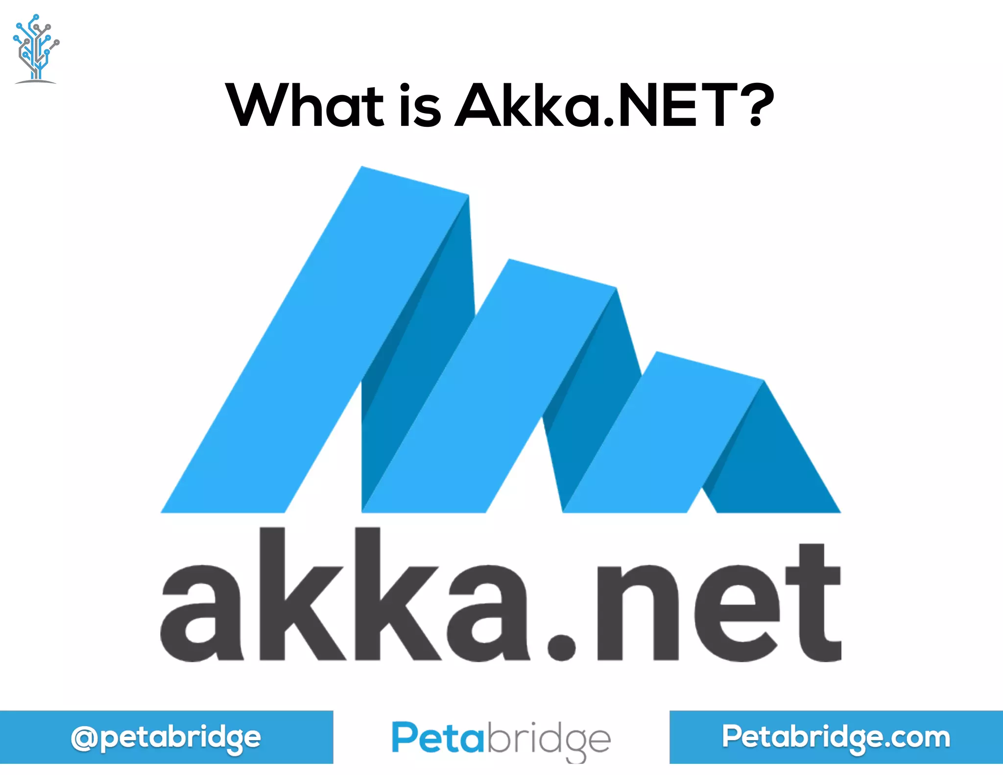 @petabridge Petabridge.com
What is Akka.NET?
 
