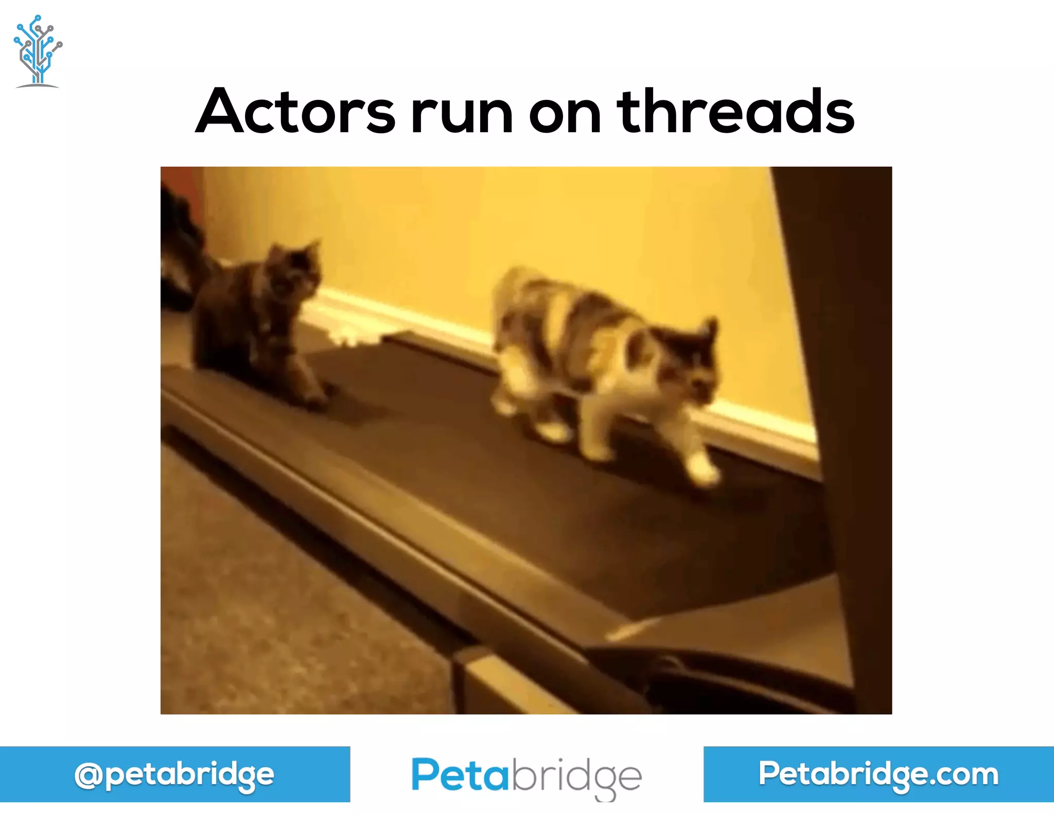 @petabridge Petabridge.com
Actors run on threads
 