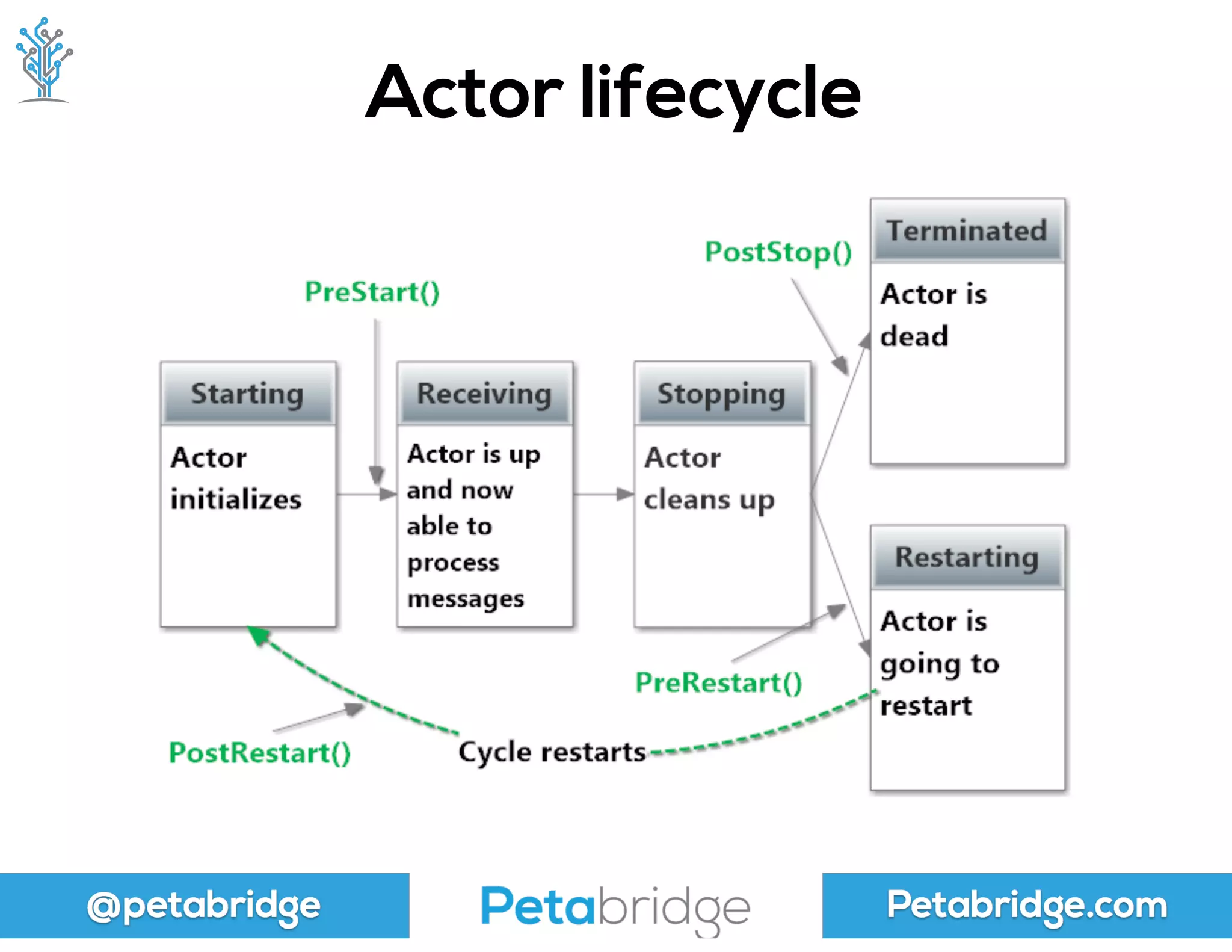 @petabridge Petabridge.com
Actor lifecycle
 