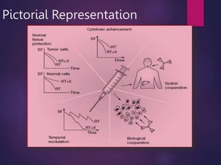 Pictorial Representation
 