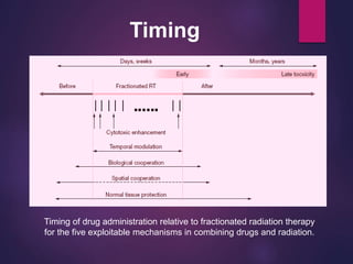 Timing of drug administration relative to fractionated radiation therapy
for the five exploitable mechanisms in combining drugs and radiation.
Timing
 
