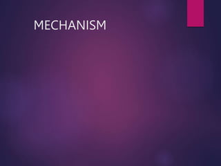 MECHANISM
 