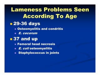Lameness Problems SeenLameness Problems Seen
A di T AA di T AAccording To AgeAccording To Age
2929--36 days36 days2929--36 days36 days
Osteomyelitis and condritisOsteomyelitis and condritis
E. cecorumE. cecorumE. cecorumE. cecorum
37 and up37 and up
F l h d iF l h d iFemoral head necrosisFemoral head necrosis
E. coliE. coli osteomyelitisosteomyelitis
Staphylococcus in jointsStaphylococcus in jointsStaphylococcus in jointsStaphylococcus in joints
 
