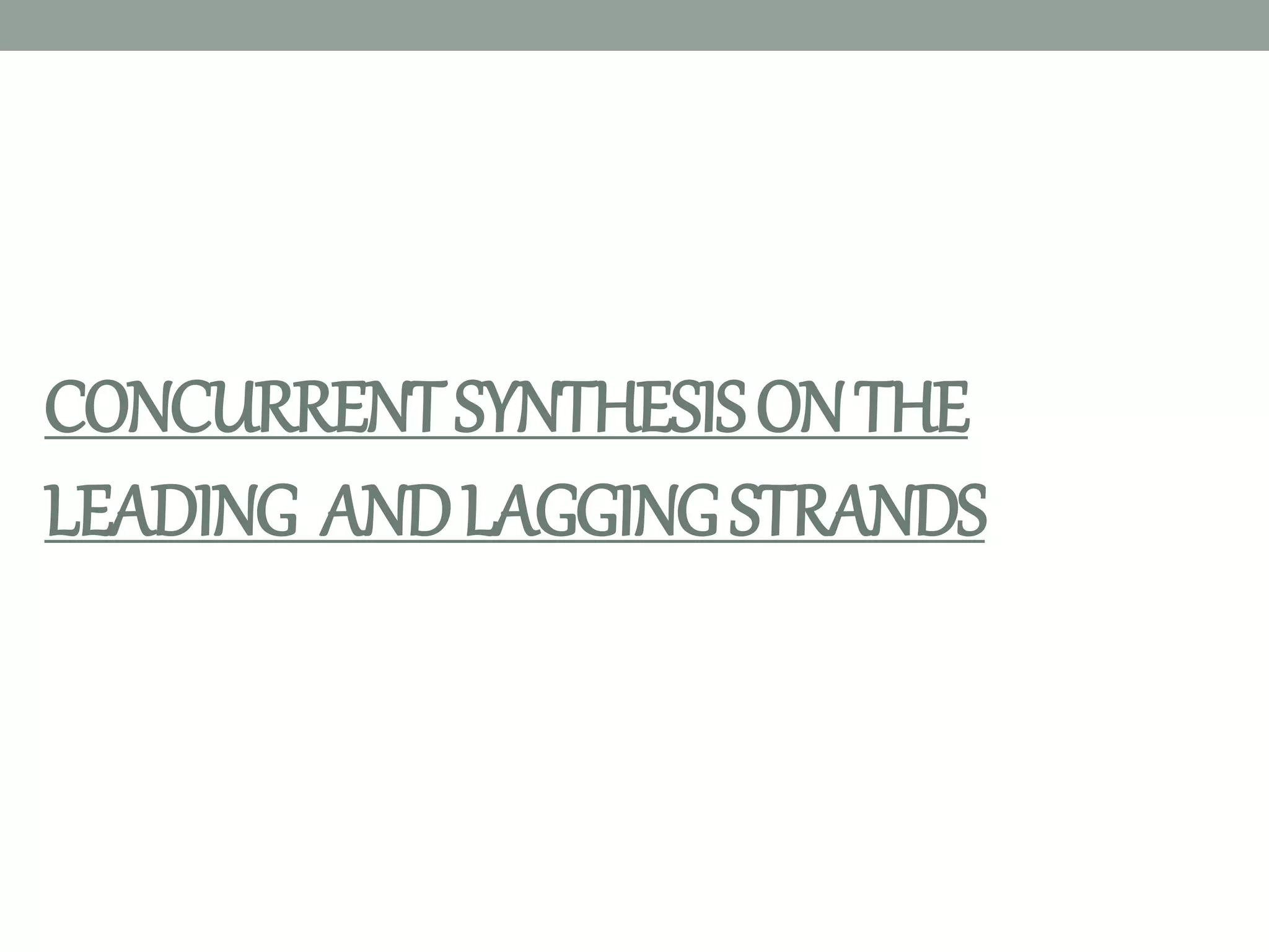 CONCURRENTSYNTHESISONTHE
LEADING ANDLAGGINGSTRANDS